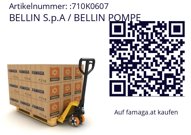   BELLIN S.p.A / BELLIN POMPE 710K0607